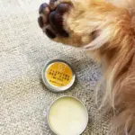 犬用肉球クリーム おー太のにくきゅうクリーム - Image 4