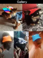 犬の帽子 犬用帽子 犬用キャップ