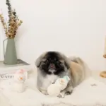 デンタルロープミニスノーマンぬいぐるみセット - Image 3