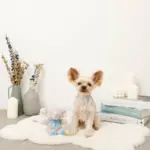 ぞうさんギンガムチェックリボンぬいぐるみ - Image 5