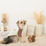 リスさんギンガムチェックリボンぬいぐるみ - Image 9