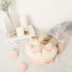 いちごのホールケーキノーズワークおもちゃ - Image 8