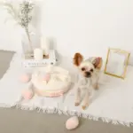 いちごのホールケーキノーズワークおもちゃ - Image 9