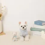 くまさんギンガムチェックリボンぬいぐるみ - Image 5