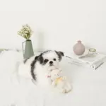 ひつじさんギンガムチェックリボンぬいぐるみ - Image 3