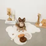 ノーズワークドーナツ型おもちゃ - Image 6