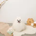 リングドーナツのおもちゃ - Image 3