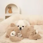 ねんねくまさんぬいぐるみ - Image 3