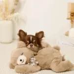 ねんねくまさんぬいぐるみ - Image 6