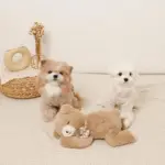 ねんねくまさんぬいぐるみ - Image 9