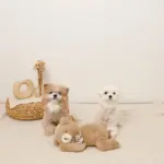 ねんねくまさんぬいぐるみ - Image 10