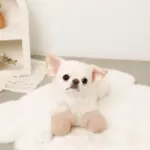 ミトンロープぬいぐるみ - Image 7