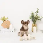 ノーズワークお花型ロープおもちゃ - Image 6