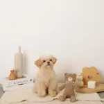 コーデュロイのくまさん - Image 7