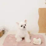 いちごのショートケーキノーズワークおもちゃ - Image 4