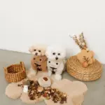 きのことくりのおもちゃSET - Image 7