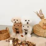 きのことくりのおもちゃSET - Image 8