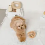 プレッツェルおもちゃ - Image 4