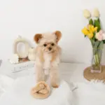 プレッツェルおもちゃ - Image 5