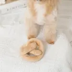 プレッツェルおもちゃ - Image 6