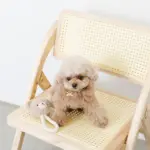 くまさんロープぬいぐるみ - Image 7