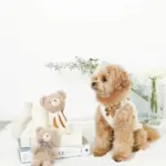 くまさんロープぬいぐるみ - Image 8