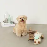 ラッコと貝殻おもちゃ - Image 3