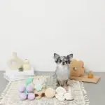 ラッコと貝殻おもちゃ - Image 8