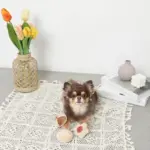 クッキー詰め合わせノーズワークおもちゃ - Image 2