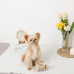 クッキー詰め合わせノーズワークおもちゃ - Image 7