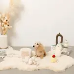 ノーズワークさいころおもちゃ - Image 10