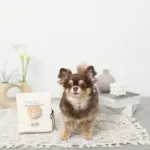 ノーズワークナチュラルブックおもちゃ - Image 2