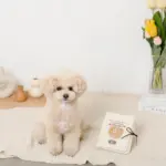 ノーズワークナチュラルブックおもちゃ - Image 4