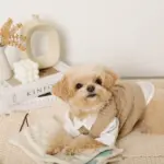 ノーズワークナチュラルブックおもちゃ - Image 7