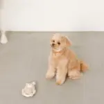 サークルロープうさぎさんぬいぐるみ - Image 3