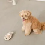 サークルロープうさぎさんぬいぐるみ - Image 4