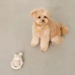 サークルロープうさぎさんぬいぐるみ - Image 6