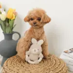 サークルロープうさぎさんぬいぐるみ - Image 7