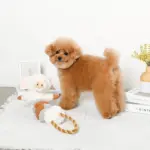 くるくる綱引きブタさん - Image 3