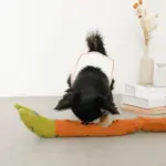 かたつむりノーズワークおもちゃ - Image 7