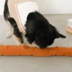 かたつむりノーズワークおもちゃ - Image 8