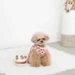 ホールケーキぬいぐるみ - Image 2