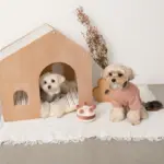 ホールケーキぬいぐるみ - Image 7