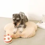 ホールケーキぬいぐるみ - Image 9