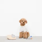 チーズとねずみさん - Image 2