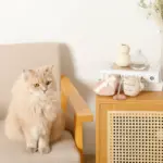 ノーズワークふんわりハートのおもちゃ - Image 9