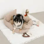 ハートのロープおもちゃSET - Image 3