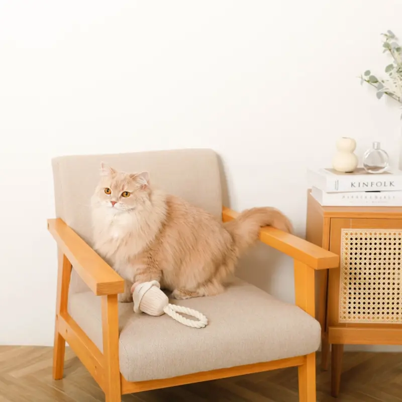 小型 犬 キャリー ケース - Professional Guide and Review