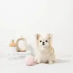 デンタルメッシュノーズワークストロベリー - Image 3