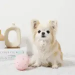 デンタルメッシュノーズワークストロベリー - Image 4